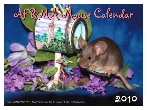 These Fundraising Calendars For 2010 Do More Than Feature Cute ...