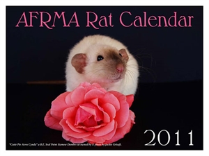 AFRMA Fancy Rat & Mouse Day - American Fancy Rat And Mouse