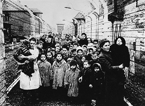 Auschwitz Liberation Day - What activity took place in Auschwitz