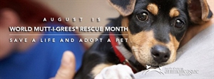 World Mutt-i-grees Rescue Month - World Mutt-i-grees Rescue