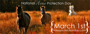 National Horse Protection Day - Over night horse show? ? ? ? ? ?