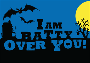 Bat Appreciation Month - Looking for financing info on Mobiles in San Antonio, TX.?