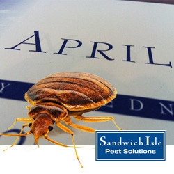 Bedbug Awareness Week - Bed Bug Awareness Week In April