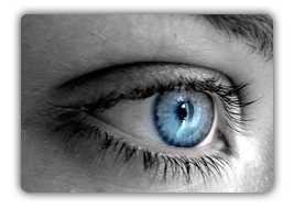 October is World Blindness Awareness MonthSight & Sun Eyeworks of ...