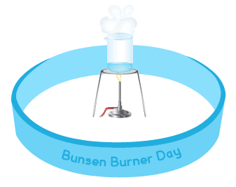 Chemistry Bunsen burner lab?