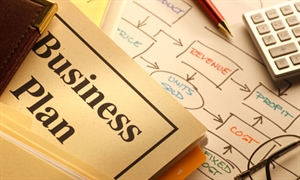 National Write A Business Plan Month - what is write in project of business studies?
