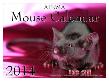 Pet Calendars That Help Small Animal Pets