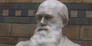 Darwin Day - Topic ideas for a Darwin Day essay contest?
