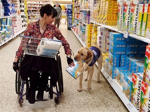 Assistance Dog Day - any small assistanceservice dog out there?