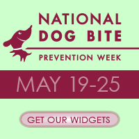 National Dog Bite Prevention Week - Are there many ticks in Florida, specifically in Broward county?