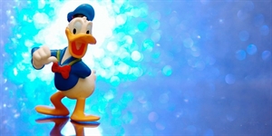 Donald Duck Day - Donald Trump or Donald Duck?