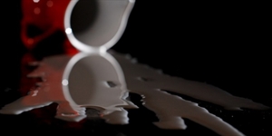 Don't Cry Over Spilled Milk Day - What is the poem that ends why don't you laugh??