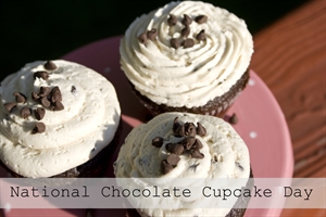 National Chocolate Cupcake Day - Does Publix allow you to buy individual cupcakes?