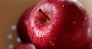 Eat A Red Apple Day - poll: green apples or red apples?