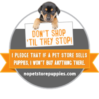 puppy died at pet store?