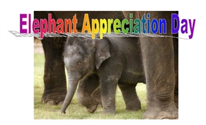 Elephant  Appreciation Day - can you fold a napkin to look like a Swan?