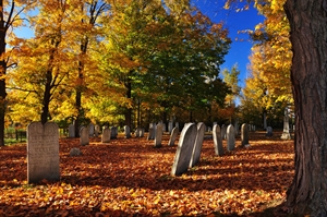 Visit A Cemetery Day - How often should people visit a cemetery?