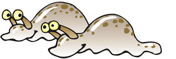 Slugs Return from Capistrano Day