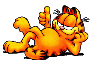 Do you like Garfield the cat?