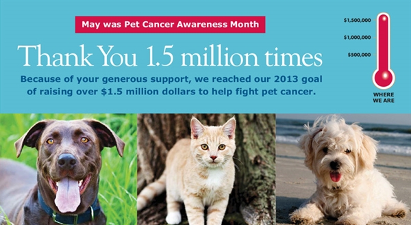 Pet Cancer Awareness - Supporting the fight against Dog and Cat Cancer