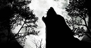 Howl At The Moon Day - When pay day comes are you howling at the moon?