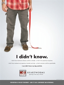 National Heartworm Awareness Month - Heartworm Awareness Month