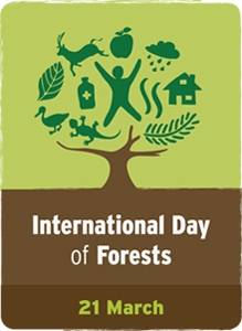 International Day of Forests and The Tree - What are some quotes about treesgardensplants that profoundly relate to volunteering?