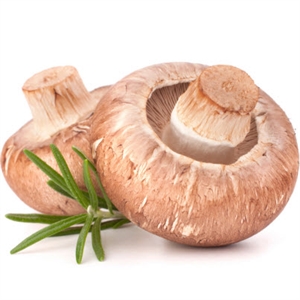 National Mushroom Month - poll did you know it is national hamburger month in the usa?