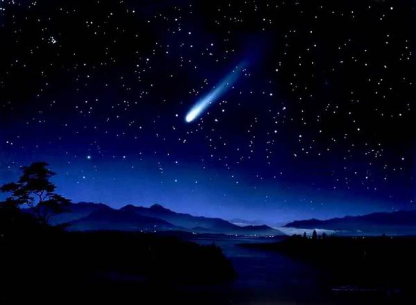 If you watched the meteor shower the past couple days... how many meteors did you see?