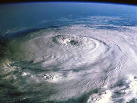 explain in detail what you would do to prepare a hurricane plan for your family and your home?