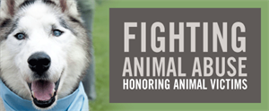 National Justice for Animals Week - In lieu of recent headlines, should there be an animal Bill of Rights?