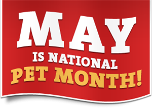 National Pet Month - Is 1 FIRST NATIONAL CARD a legit credit card co.?