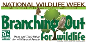 Wildlife Week - tell me a story on wildlife conservation?
