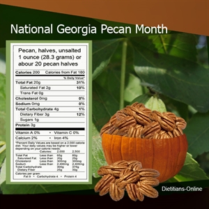 National Georgia Pecan Month - November is National Georgia Pecan Month