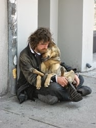 why are their so many homeless pets these days?