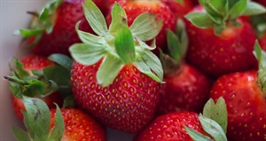 Pick Strawberries Day - Healthy breakfast recipes with freshly picked strawberries?