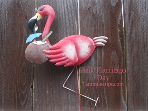 Pink Flamingo Day - blue rubbers in pink flamingo trucks?