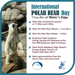 International Polar Bear Day - Is this true? The largest bear of all, a polar bear, has been killed by a .22 pistol?