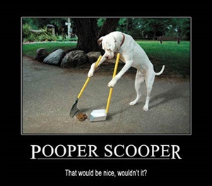 The APAWS Pooper Scooper  Week - Pooper Scooper Week. The