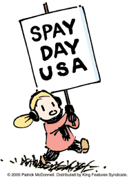 Spay Day USA - how much does it cost to have a chihuahua female spayed after it has had her first heat?