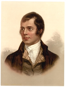 Robert Burns Day - can anyone tell me what the poem to a louse by robert burns means?