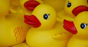 Rubber Duckie Day - Do you have a rubber duckie in the tub?