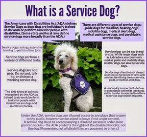 National Service Dog Month - Harrassed by neighbor over my approved service dog, need legal advice?