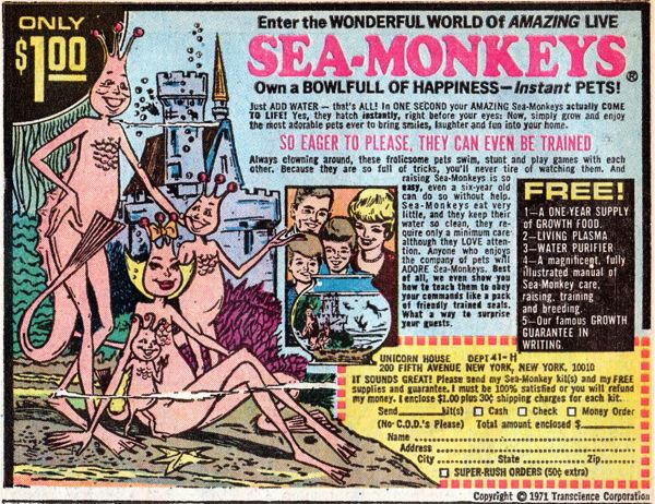 Questions About Sea Monkeys?!?
