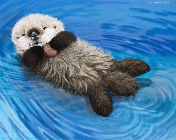 Sea Otter Awareness Week, Newborn Otter Pup by Psithyrus on deviantART