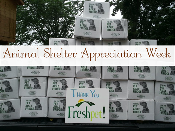 This National Animal Shelter Appreciation Week, give thanks to ...