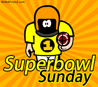 What are you looking forward to MOST about Super Bowl Sunday?