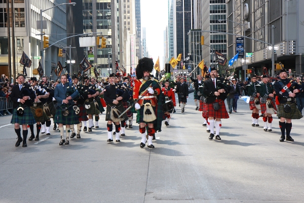 what do you think of tartan day?