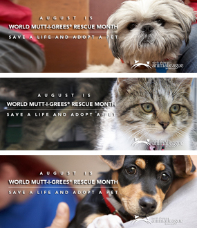 August is World Mutt-i-grees® Rescue Month - North Shore Animal ...