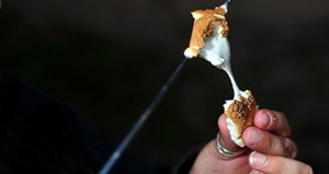 Toasted Marshmallow Day - I am declaring that Monday will be some new, phoney baloney holiday. Any suggestions?